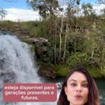 Nathalie Kelley Instagram - Hoje é o Dia Nacional do #Cerrado no Brasil! 🇧🇷 Esse precioso bioma não recebe a mesma atenção que seu vizinho mais famoso, a Amazônia, recebe, e com pouca proteção legal, ele está desaparecendo duas vezes mais rápido do que a Amazônia. 🌳 O Cerrado é uma floresta “de cabeça para baixo”, armazenando bilhões de toneladas de carbono em seus solos e em seu imenso sistema radicular. Ele abriga 5% das espécies de plantas e animais do mundo e muitas comunidades indígenas e locais. Metade da superfície terrestre do Cerrado foi perdida, tomada pela indústria da carne para criar gado e cultivar soja como ração animal para manter os supermercados globais abastecidos com carne barata. Não podemos permitir que um ecossistema tão valioso seja destruído: 🌾🐄 Precisamos da savana do Cerrado tanto quanto da floresta amazônica para nos ajudar a mitigar os efeitos de um mundo que aquece rapidamente. O Cerrado precisa de maior proteção antes que seja tarde demais. Vamos espalhar a notícia! Fique ligado para saber mais sobre o Cerrado e o que podemos fazer para salvá-lo : 💚🌿 #ProtectOurEcosystems #SaveTheCerrado