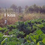 Nathalie Kelley Instagram - On this Valentines Day I want to invite you send love and gratitude to our SOIL ❤️ - the source of our food, nourishment and life itself. This video is in honor of the work of @kisstheground and all those working to rebuild and regenerate our soil. There are hundreds of ways to Kiss the Ground, through the link in my bio you can donate or find other ways to support. $10 helps transition 1 acre of land to regenerative land management practices. Thank you for inviting me to be a part of this gorgeous homage to this incredible and noble work @evanharrisonsurfs 🙏🏽🌱