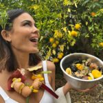 Nathalie Kelley Instagram – Hello! Compost Queen here… Darlings I’m so thrilled you loved my little reel on the wonders of Making Soil! Once you start you can never go back to throwing your organic matter in the trash! Here are are some wonderful resources by @swaythefuture and @shanleygrace to help get your compost recipe just right… and lastly, if you want to go the EXTRA mile for Mother Earth this year, consider BECOMING a Soil Site on @makesoil. YOU get to choose how many neighbors you accept food scraps from, what exactly you accept and when. This is how we go about getting millions (hopefully billions) of people engaging in their first act of regeneration! It’s that simple, yet that profound. @joshwhiton, founder of @makesoil likes to say it’s the “gateway” regenerative experience that leads to all other kinds of wonderful things like growing your own food or learning agroforestry as I intend to do this year… and it all started with a simple compost bin 😘🌱 Here’s to Making Soil together in 2023 🌎

Slide 1: Compost Queen Nat in an home-made DIY necklace constructed out of her own food scraps with a bowl of organic matter

Slide 2: An instructional guide of the nitrogen/carbon/potassium/phosphorus content of common compostable items by @swaythefuture 

Slide 3: Nat about to taste @terramasiaibiza delicious biodynamic soil after reviewing their compost. Wearing her friends sustainable and ethically made line @laasso 

slide 4: the @makesoil team in Ibiza visiting @terramasiaibiza . Founder @joshwhiton front and center. @vanessaponcedeleon @steviemariew (not shown) @tansykaschak @andresalonso7 

Slide 5: A screenshot of the @makesoil app showing existing soil sites across California and Oregon

Slide 6: More composting resources by @swaythefuture