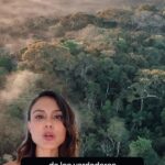 Nathalie Kelley Instagram - La Amazonía Peruana está siendo destruida por la exploración petrolera, financiada en parte por bancos estadounidenses y europeos. Son cómplices en la apropiación de tierras por parte de compañías petroleras, incluyendo en 25 bloques petroleros propuestos que se superponen con tierras indígenas en Perú. ¡Ayúdanos a exponer esto! Firma la petición en mi biografía Y Comparte este video de para generar conciencia sobre las violaciones de los derechos territoriales. La selva amazónica y sus pueblos son guardianes del clima de nuestra Tierra y necesitan nuestro apoyo. ✊🏽🌳 music: Poranguí