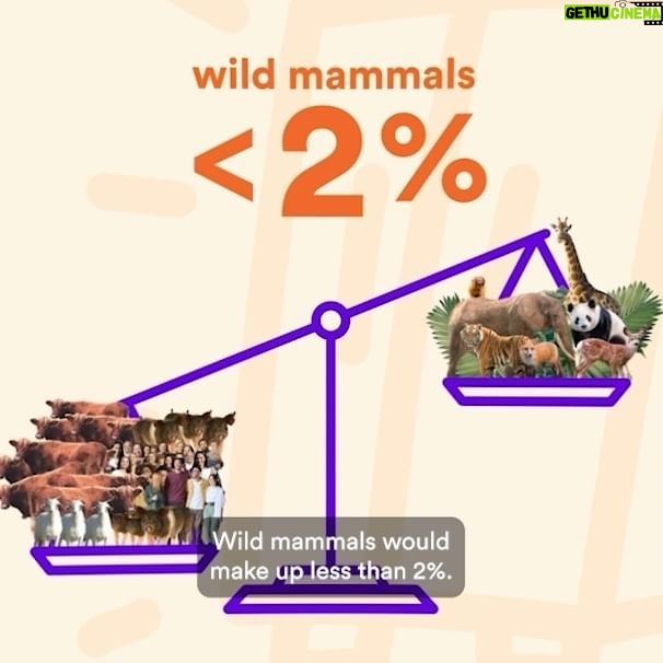 Nathalie Kelley Instagram - What if there was something you could start doing today they could have an enormous impact on the planet’s health AND yours? Would you do it? I teamed with @rewild to Re:wild My Fridge! Why? Because by eating more plants you have the power to help protect and restore the wild. Shifting your diet can decrease demand for industrial animal agriculture and increase demand for plant-based products that support global biodiversity - aka the WILD! That’s why Re:wild has launched Re:wild Your Fridge, a campaign to educate millions of people about the most effective action they can take for the planet. Together we can tip the scales in the right direction for our planet. Join us and take the #RewildYourFridge Challenge! Start by downloading the @palau_project app (link in bio) to join our challenge. Then start filling your fridge with more fruits, vegetables, and meat and dairy alternatives. Together we can rewild our world! . . . . #Rewild #plantbased #rewilding #ClimateWeekNYC #plantbasedfood #plantbaseddiet #foodie #dairyfree #plantbasedfood #biodiversity #healthyfood #vegetarian #healthylifestyle #sustainable #sustainableliving #meatfree #thereisnoplanetb #greenliving #green #gogreen #eatplants #eatmoreplants #foodlovers #foodlife #foodiegram #foodinspiration #veggies #vegetables