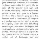 Nathalie Kelley Instagram – My 2nd column for @lofficielibiza is now up! This month (and next) is all about the sexiness of healthy Soil. Moist, dark, fertile, black gold… the building block of life. I talk about my trip to meet Philip at @terramasiaibiza and the movement to heal Ibiza’s soil as a fascinating microcosm of the global push to return to Indigenous methods of farming and soil stewardship in the fight against soil erosion – which if you as me is one of the biggest threats against humanity! No healthy soil = no food = no humans (or animals). Next month I will dive more deeply into the fine art of Making Soil with @makesoil and bio-char. An ancient indigenous technique for amending the soil that has enormous relevance and implications today. Link in bio, hope you enjoy! Together we can #makesoilsexyagain👩🏽🌾