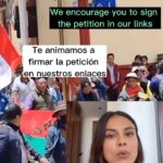 Nathalie Kelley Instagram - “Exigimos el fin de todas las formas de gobierno construidas sobre sistemas coloniales de racismo, extracción y explotación. Exigimos una nueva constitución y un nuevo gobierno plurinacional donde los Derechos de la Naturaleza estén consagrados en la ley y las comunidades indígenas tengan soberanía y autonomía sobre sus vidas y tierras. ” Video Sources: @solischa_20