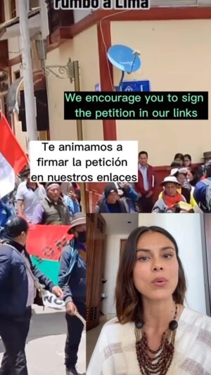 Nathalie Kelley Instagram - “Exigimos el fin de todas las formas de gobierno construidas sobre sistemas coloniales de racismo, extracción y explotación. Exigimos una nueva constitución y un nuevo gobierno plurinacional donde los Derechos de la Naturaleza estén consagrados en la ley y las comunidades indígenas tengan soberanía y autonomía sobre sus vidas y tierras. ”

Video Sources: @solischa_20