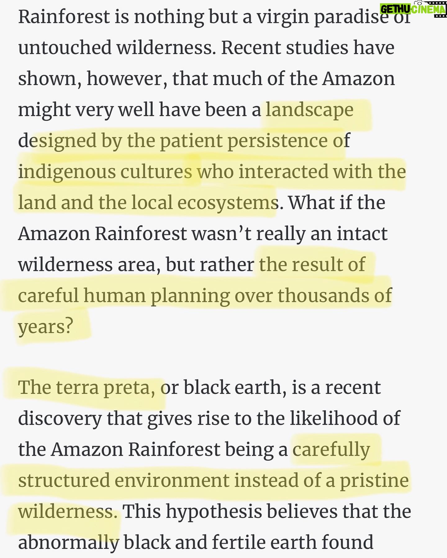Nathalie Kelley Instagram - Now that Brazil’s elections are over I can breathe in relief that the new president has pledged to defend the Amazon rainforest and life on earth now stands a chance. But that relief is at times overshadowed by terror and sadness at the amount of people who supported Bolsonaro. By supporting a man who has said that he wished the Portuguese colonizers had completely “decimated” Brazil’s Indigenous people like their counterparts in the US (slide2) it means that almost half the country essentially wishes death on the very people who CREATED the abundance they enjoy today. Brazil would not exist without the richness and abundance of its rainforest, yet I imagine that at least half of Brazilians must not know the true history of the lands they live on and profit from. That the biodiversity and abundance they enjoyed and squandered this last 500 years is due to the stewardship of the people they wish to actively erase from history. (Slide 3 and 5) That most of Bolsonaro’s supporters are “Christian” is also troubling. My grandmother is a devout Evangelical and my uncle is a pastor - I am more than familiar with the Gospel. How could they use the words of “The Prince of Peace” to incite genocide, to push for more guns, to blatantly disrespect the gifts of God’s creation? Christianity has done more harm than good for the people of the Amazon ever since the first missionaries brought diseases that would wipe out 90% of the population. There is an opportunity now to mend course, to truly embody Christ consciousness and defend the most marginalized and oppressed; indigenous peoples and the MST, or landless peasant movement who too deserve access to the land they have worked on for generations. Jesus called on the rich and powerful to “sell all that you own and distribute the money to the poor, and you will have treasure in heaven; then come, follow me” Luke 18:22. He didn’t say “vote for the guy that is going to cut funding for the poor, lower your income taxes and be good for big business.” Now is the time for less hate, more love. Less hypocrisy and more action. In the words of Stephen Mattson: SOCIAL JUSTICE IS A CHRISTIAN TRADITION — NOT A LIBERAL AGENDA