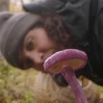 Nathalie Kelley Instagram – Just this last month the National Geographic Society (@insidenatgeo) made the move to include FUNGI in its definition of WILDLIFE, placing them alongside plants and animals.

This isn’t just wordplay; it literally means that mycology has been declared an area of interest, unlocking crucial funding for fungal research and projects looking to investigate and protect fungi from all over the world.

Alongside this significant step triggered by our partners at the @fungifoundation, the National Geographic Society’s Impact Story Lab has launched the short film ‘Flora Fauna Funga’ (available on their YouTube channel and via the link in my bio) The short documentary was filmed during an expedition to Tierra del Fuego in Chile, where @giulifungi @fungifoundation, @merlin.sheldrake,  and @spununderground spent 10 days collecting samples of fungi and soil to research how the funga of the southernmost tip of the American continent live and adapt.

Foundress of the @fungifoundation @giulifungi is doing amazing things for KINdom of Fungi, finding new species, fighting to make sure mycologically inclusive language is included in conservation frameworks. You will be hearing more about this work in next month but in meantime please check out the longer version of this film via the link in my bio. 🍄🍄🍄🍄🍄🍄