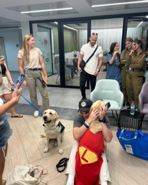 Nathaniel Buzolic Instagram - Israeli’s celebrate and protect life. Hamas celebrates and creates death. Until the Palestinian people rise up against Hamas we must accept their support of them. 20,000 Palestinians joined 3,000  Hamas terrorists crossing the border to loot, steal kidnap and rape innocent women from the small communities that dwell near the border of Gaza.

If you believe in life you can’t support a Palestinian movement that calls for Jihads, intifada’s and Isis style terrorism. 

This is a choice between the blessing of God’s people and the curse of wicked men. Hamas needs to go. Forever and who ever supports Hamas needs to go to a place where you don’t return from. Sheol.