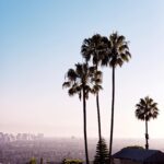 Nathaniel Buzolic Instagram - 🌴 Sundays…