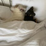 Naz Çağla Irmak Instagram - son zamanlar dump 🤷‍♀️