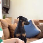 Naz Çağla Irmak Instagram - Tam da kamera önü çalışırken benimkiler rahat bırakmadı tabii. Benim yerimde siz olsanız ne yapardınız? Ben sakinliğimi koruyamadım, sonuçları ortada. Merak ediyorsanız hep beraber izleyeliiim💚 @sprite_tr #HarareteKapılmaSpriteİleFerahla #işbirliği