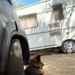 Naz Çağla Irmak Instagram - a gypsy dump (1-3 ve 5. fotoğraflarda Mösyö’yü bulunuz)
