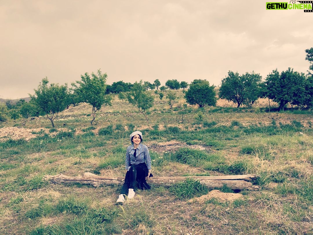 Nazanin Bayati Instagram - هر خوابی بیدار ممکن است هر بیداری خوش است . . خداوندا تمام حرف های جهان یک طرف: این راز یک طرف . . هر خوابی یک طرف بیداری خوابی من یک طرف . . . . شمس لنگرودی📚🌸