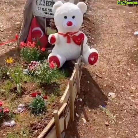Nebahat Çehre Instagram - Artık duyun … Artık bişeyler yapın … Artık yardım edin … Deprem bağıra çağıra geliyor… Lütfen lütfen lütfen daha fazla bu konuyu konuşalım. Daha fazla birbirimize sahip çıkalım. Daha fazla önlem alalım. Ülkemizde yaşanan depremlerde yüz binlerce insan öldü. Daha fazla konuşalım. Annesi olmayan çocuk, babası olmayan bebek ailesi olmayan kimse kalmasın Vakit çok geç değil… Birbirimize sarılalım…. Unutmayalım Unutmayalım Unutmayalım #deprem