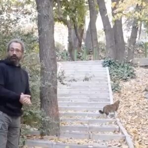 Negar Javaherian Instagram - نمایش تمام می شود و حقیقت عریان می گردد. 

قهرمانان حقیقی ما، مردم بی‌نامند. 
اشتباهاتمان را خط نمی‌زنیم، دوباره مشق می‌کنیم و می‌آموزیم...
راه بی شمار است و امید به روز نو ، بسیار. 

@hamidpourazari 
@soheilagolestani 

#ما_همه_با_هم_هستیم #زن_زندگی_ازادی #مهسا_امینی #بلوچستان #کردستان