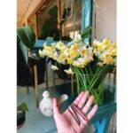Negar Javaherian Instagram - • یک/ دیروز، کمی پیش از غروب خورشید، آخرین پلانم را در سریال خاتون بازی کردم. صبح زود از گرمسار برگشتم. این نرگس ها‌ی زیبا که گروه نازنین “خاتون” @khatoon.series بهم هدیه دادند و این سنجاق‌ها که به موهایم جا مانده بودند، تنها چیزهایی هستند که با من از لوکیشنِ “خاتون” به خانه آمدند. احساس می‌کنم از یک سفر دور‌ِ چندین و چند ساله برگشتم.. یک سال و چهار ماه فیلمبرداری کردیم. از اولین گفتگوی تینا و من در مورد خاتون حدوداً به اندازه‌یِ سن نوردخت میگذرد. دو سال و پنج ماه!!! همکاران عزیزم در سریالِ “خاتون” قدردان تک تک‌تان هستم. کنار هم موهایمان را سفید کردیم.❤️ زیر سایه‌تان بودم و این برایم بسیار با ارزش و عزیز بود. • دو/ این صبح زیبا را ببینید. دیروز در مسیر رسیدن به فیلمبرداری. • سه/ تینا ❤️ @tinapakravan خوشحالم که عکس این بغل کردن ثبت شده. دمت گرم که این عکس و گرفتی سینای @sinakermanizadeh عزیزم. • چهار/ تمام.
