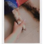 Neha Menon Instagram - I don’t wanna say goodbye, ‘cause this one means forever💔🐾 #Candy 15-05-2024 To my First ever friend, My Partner in crime, My first pet, The one who listens to my rants, The best cuddling pillow ever, My favourite hello and hardest goodbye, I’ll miss you forever!💔 I protected you from everything, but lost you to TIME! You were the best part of these 15 years! You taught me what love was! Thank you for being the best pet anyone could ever ask for! I hope you’re in a better place!🤎 I’ll miss you on your birthday next month, next year, and in all the coming years…. Every day, every single moment until I’m here! I’ll miss your barks when I get back home! I’ll miss your hairs on every outfits I wear! I’ll miss going on walks with you! I’ll miss feeding you! I’ll miss YOU my Angel🤎 You can’t be replaced! Until we meet again…. Farewell babyy 🐾🫂