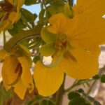 Nesreen Tafesh Instagram - ☀️☘️😎🧡الحياة مليئة بالوفرة 🌷فقط افتح قلبك بنية طيبة