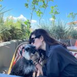Nesrin Cavadzade Instagram - Ralph 🤤