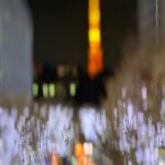 Nessie Judge Instagram - Tokyo Tower Madness 🗼