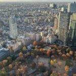 Nessie Judge Instagram - Tokyo's Tunes, Trees & Towers ✨