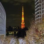 Nessie Judge Instagram - Tokyo Tower Madness 🗼