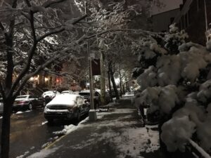 Neve Campbell Instagram - Late night walk in snowy Brooklyn. Heaven.