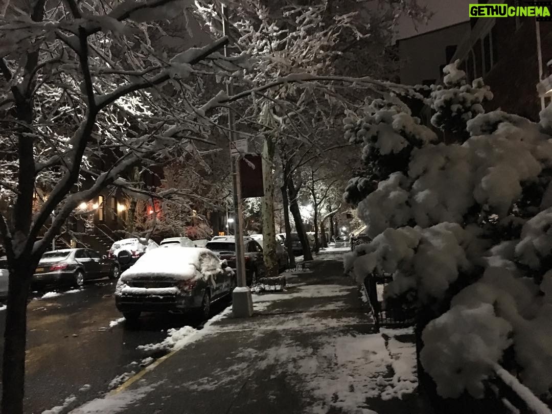 Neve Campbell - 14.4K Likes - Late night walk in snowy Brooklyn. Heaven.