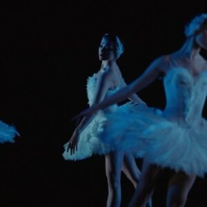 Neve Campbell Instagram - Today we released the trailer for Swan Song, a new feature documentary following the creation of Karen Kain’s farewell production of Swan Lake, premieres September 9 @tiff_net . The film will open in theaters across Canada, starting with @tiff_net Bell Lightbox on September 29. And an expanded four-part limited series will premiere on @cbc this November. Swan Song is distributed by Blue Ice Docs in Canada, with international sales led by @dogwoof . It was an incredible honor for me to Executive Produce this project with its exceptional film makers and team.

SWAN SONG
A Film By @chelsea.mcmullan and @seanosean
Directed by @chelsea.mcmullan 
Produced by @seanosean
Executive Producers @seanosean, @chelsea.mcmullan, Jennifer Baichwal, Nicholas de Pencier, Anna Godas, Oli Harbottle & @nevecampbell
Co-Executive Producers Janice Dawe & Kathy Avrich Johnson 
Producer @cmc_yyz
Directors of Photography @tessgirard & @shadyhanna 
Editor @brendankmills 
Co-Editors @missnewbudi & @johnboy.gallagher
Story Editors @dameleahshulace & @senditvee
Associate Producer Lucy Cameron
Written by @seanosean and @chelsea.mcmullan
Original Score by @austra

With thanks to our partners and funders @CBC, @dogwoof, @telefilm_canada, @ontariocreates, The Rogers Cable Network Fund, @cmf_fmc, @ffdnorth and especially @nationalballet and @kain.karen