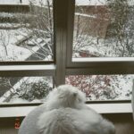 Ni Ni Instagram - 🍓😽🪽❄️