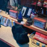 Ni Ni Instagram - 逛了老门东，街边小店新入手了帽子跟衣服，好喜欢💙🤍 美好生活从偶遇的黑喵白喵开始🖤🤍