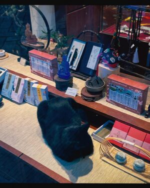 Ni Ni Instagram - 逛了老门东，街边小店新入手了帽子跟衣服，好喜欢💙🤍
美好生活从偶遇的黑喵白喵开始🖤🤍