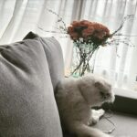 Ni Ni Instagram - 一些生活🌻
