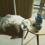 Ni Ni Instagram - 最近👌