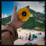 Ni Ni Instagram - 💛❤️💚💙🤍