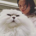 Ni Ni Instagram - 我拍的麻麻。