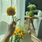 Ni Ni Instagram - 一些生活🌻