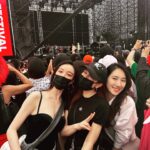 Ni Ni Instagram - 他说：“我不要🐮🍺，我要快乐。” 我也要努力拾起生活的碎片，让自己快乐起来💪🏻