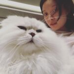 Ni Ni Instagram - 我拍的麻麻。
