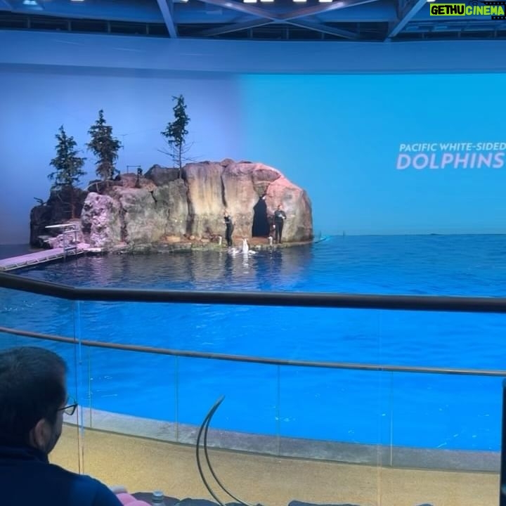 Nicki Minaj Instagram - Thank you to the amazing employees at the Aquarium in Chicago today. 🩷💛💜🩵🤍 #PapaBear had a great time 😉🌊🐳🌊🐬