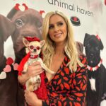 Nicky Hilton Instagram – That’s a wrap NYFW! 🌪️