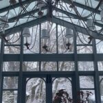 Nicky Hilton Instagram – Damp January