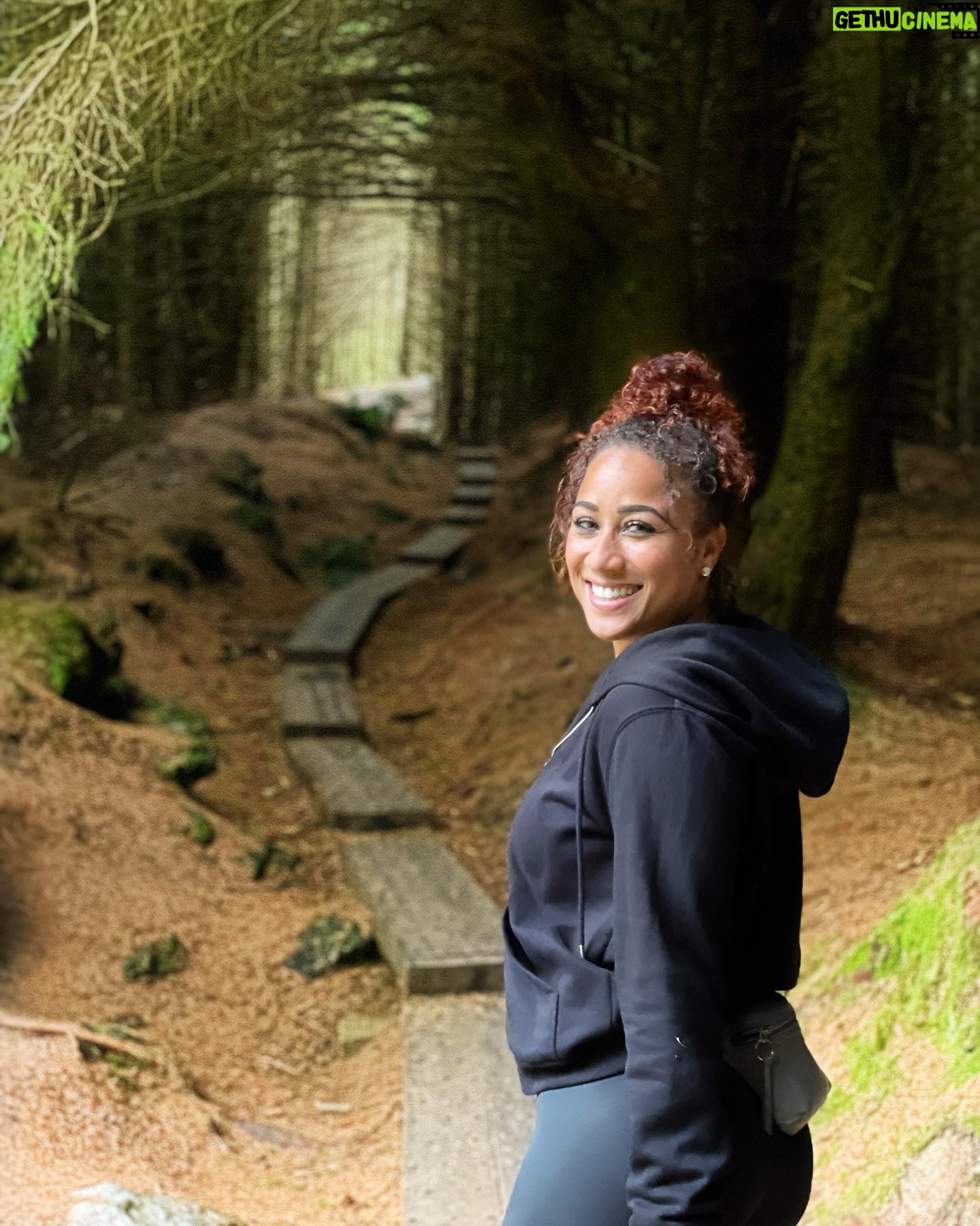 Nicole Alexander Instagram - 🖤 🥹 This was absolutely my favorite place in #Ireland. You all know I love the #Woods. I mean this was so #magical to me! Was like a #Fairytale ☘️