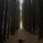 Nicole Alexander Instagram – 🖤 🥹 This was absolutely my favorite place in #Ireland. You all know I love the #Woods. I mean this was so #magical to me! Was like a #Fairytale ☘️