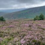 Nicole Alexander Instagram – 💚 No photo or video could ever capture the beauty of this place. I always say my super power would be to teleport…. But up here….. It would be to fly. #Ireland #Magic ☘️