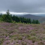 Nicole Alexander Instagram – š No photo or video could ever capture the beauty of this place. I always say my super power would be to teleportā¦. But up hereā¦.. It would be to fly. #Ireland #Magic āļø