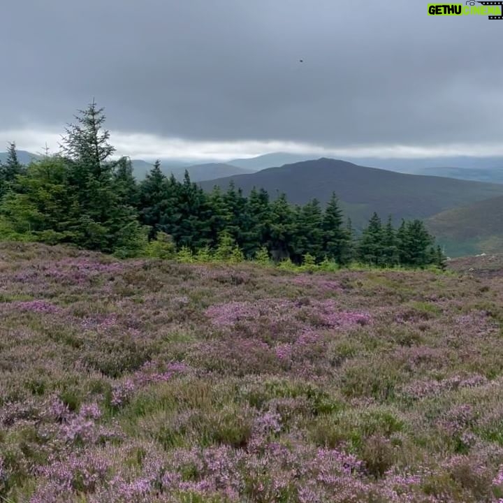Nicole Alexander Instagram - š No photo or video could ever capture the beauty of this place. I always say my super power would be to teleportā¦. But up hereā¦.. It would be to fly. #Ireland #Magic āļø