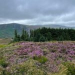 Nicole Alexander Instagram – š No photo or video could ever capture the beauty of this place. I always say my super power would be to teleportā¦. But up hereā¦.. It would be to fly. #Ireland #Magic āļø