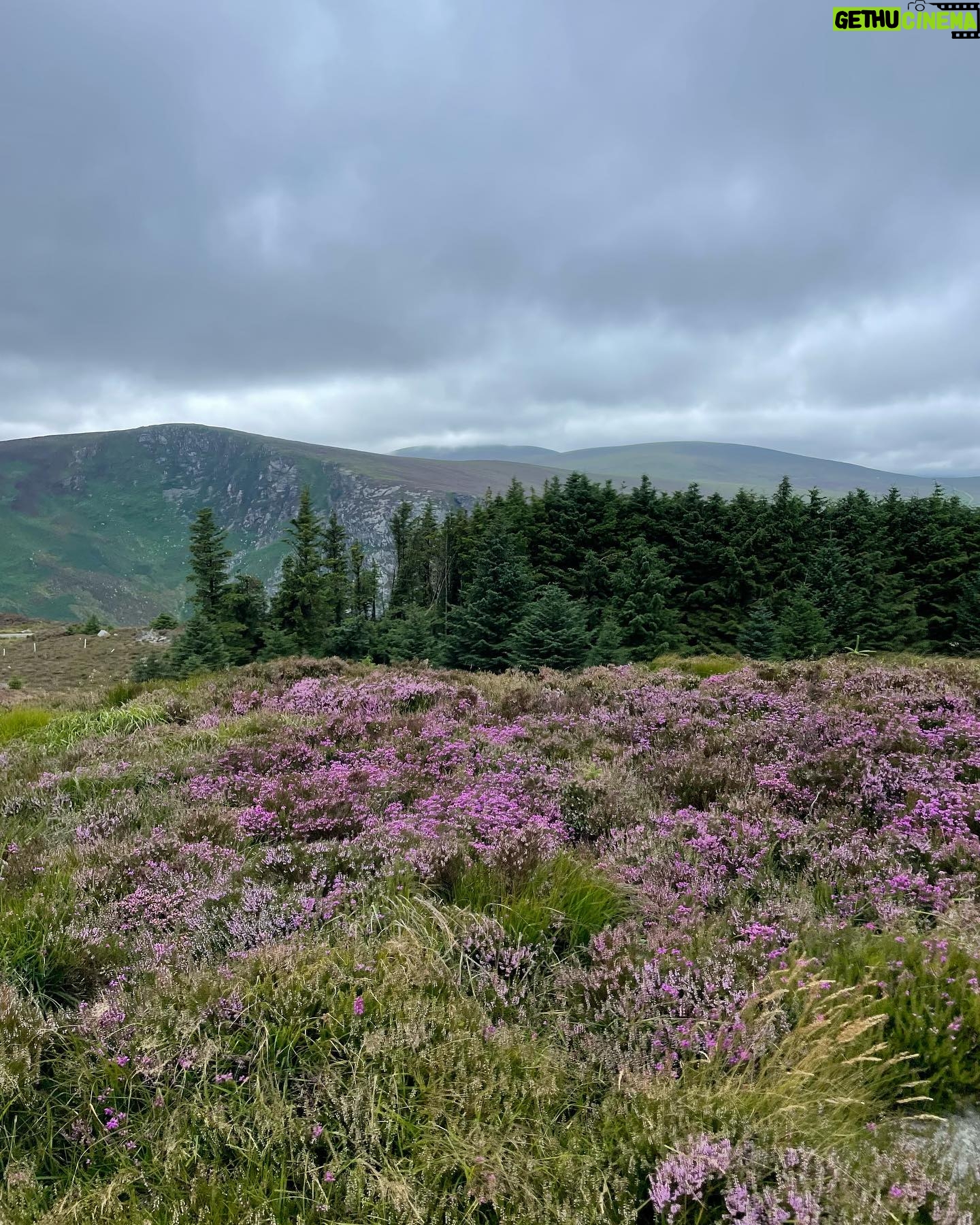 Nicole Alexander Instagram - š No photo or video could ever capture the beauty of this place. I always say my super power would be to teleportā¦. But up hereā¦.. It would be to fly. #Ireland #Magic āļø