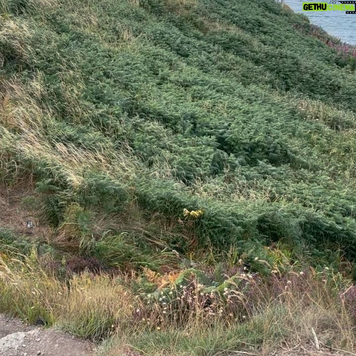 Nicole Alexander Instagram - 🧚🏽♂️ The #Adventures of #Howth #Ireland ☘️🥰