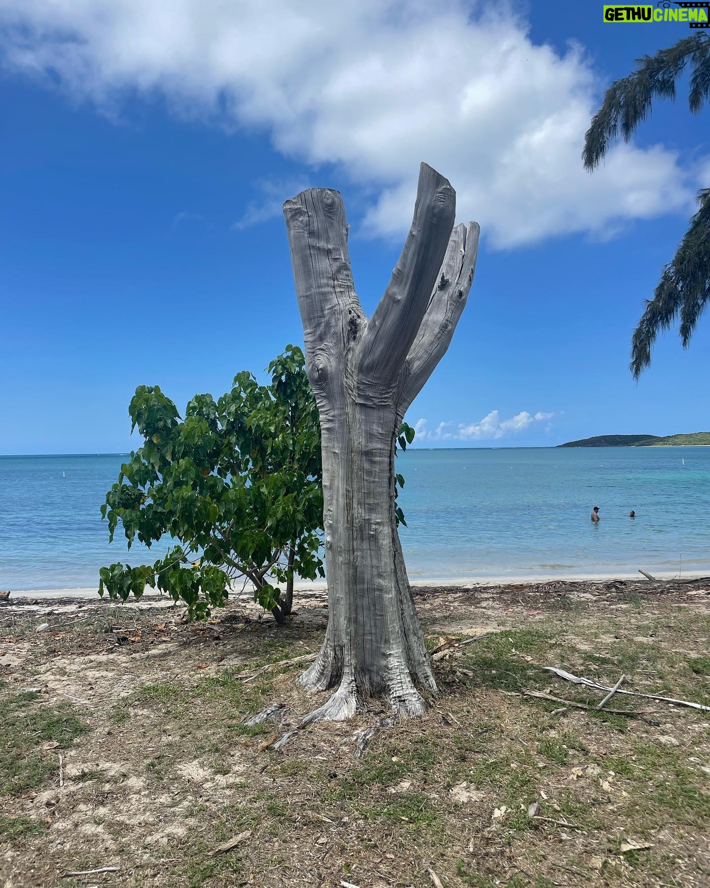 Nicole Alexander Instagram - 🥰🌊🌴